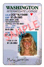 teen drivers license
